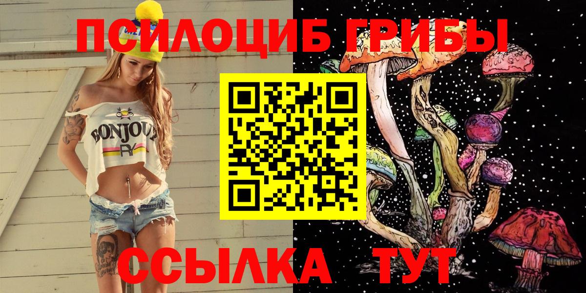 где продают наркотики  Вход с VPN  Чебаркуль  Псилоцибиновые грибы MAGIC MUSHROOMS  Псилоцибиновые грибы ЛСД 